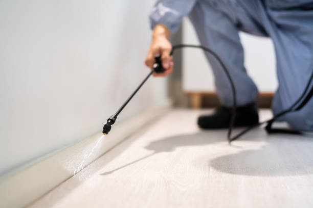 Licensed Pest Control service in Weleetka, OK - Show Me Pest Control