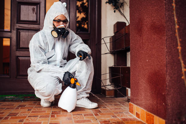 Multi-Unit and Airbnb Bed Bug Protocol in Weleetka