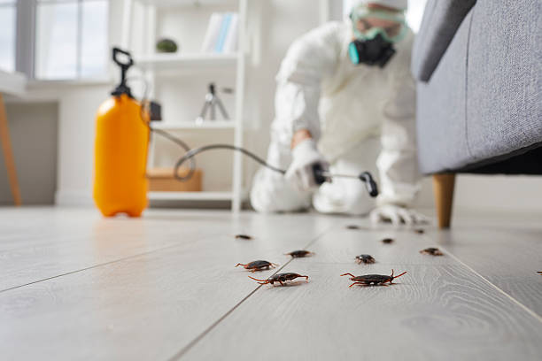 Post-Treatment Bed Bug Interceptor Monitoring in Weleetka